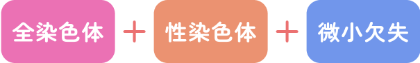 全染色体＋性染色体＋微小欠失