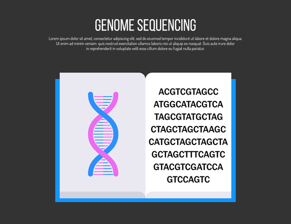 染色体とDNAと遺伝子の違いを本に例えて