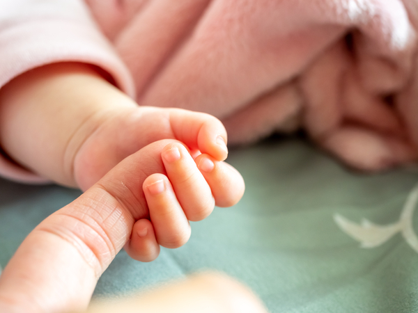 小さい赤ちゃんの手が大人の指をつかんでいる